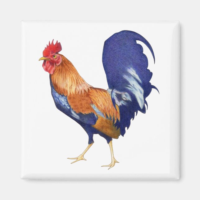 Rooster Magnet (Vorne)