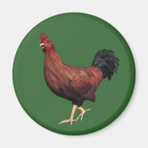 Rooster Magnet