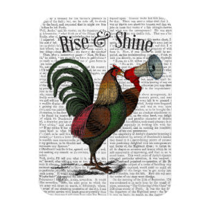 Rooster mit Loudhailer 2 Magnet