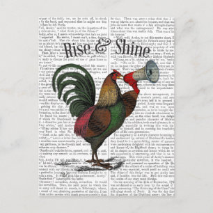 Rooster mit Loudhailer 2 Postkarte