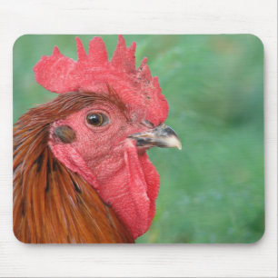 Rooster Mousepad