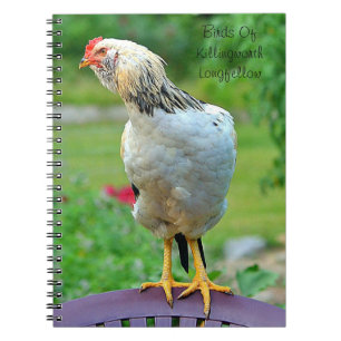 Rooster-Notebook Notizblock