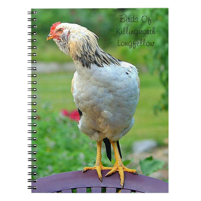 Rooster-Notebook Notizblock (Vorderseite)