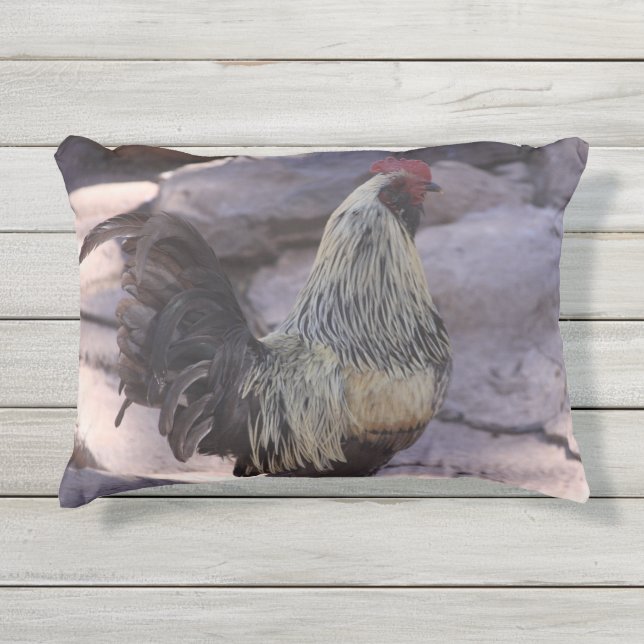 Rooster Pillow Kissen Für Draußen (Vorderseite)