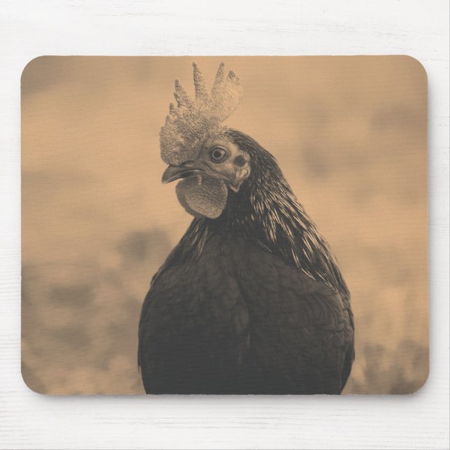 Rooster Portrait Mousepad (Vorne)