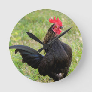 Rooster Portrait Runde Wanduhr