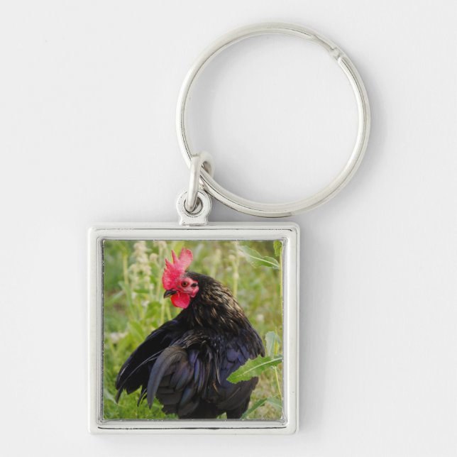 Rooster Portrait Schlüsselanhänger (Vorne)