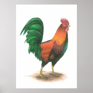 Rooster Poster