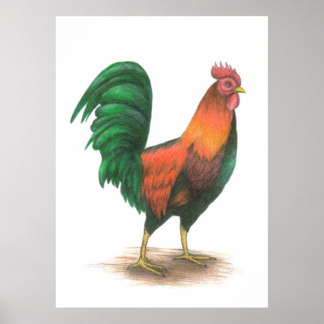 Rooster Poster (Vorne)