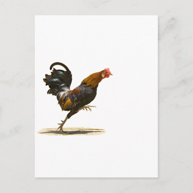 Rooster Postkarte (Vorderseite)