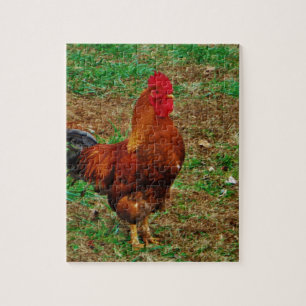 Rooster Puzzle