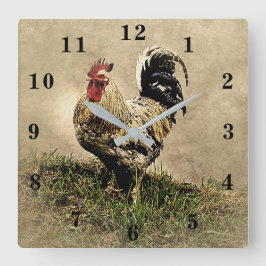 Rooster Quadratische Wanduhr