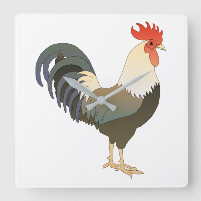 Rooster Quadratische Wanduhr (Vorderseite)