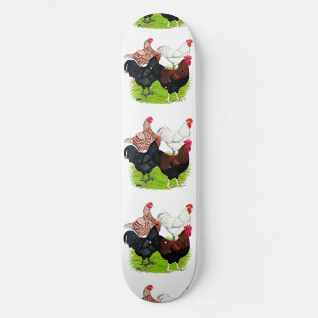 Rooster-Quartett für Heavy Rasse Skateboard (Vorderseite)