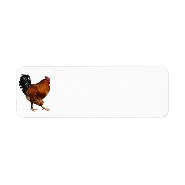 Rooster-Rückgabeadresse (Vorne)