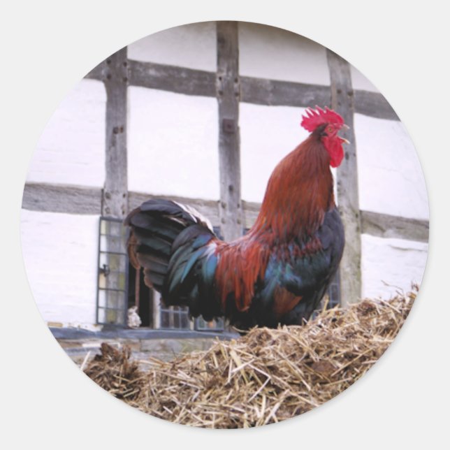 ROOSTER RUNDER AUFKLEBER (Vorderseite)