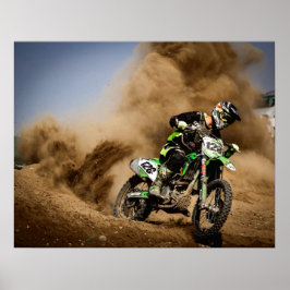 Rooster-Schwanz Poster