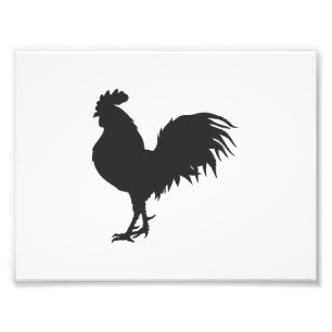 Rooster-Silhouette - Hintergrundfarbe auswählen Fotodruck