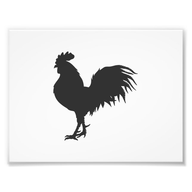 Rooster-Silhouette - Hintergrundfarbe auswählen Fotodruck (Vorne)