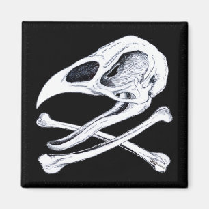 Rooster Skull und Crossbones Magnet