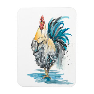 Rooster Splash - Aquarellbild Magnet