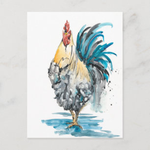 Rooster Splash - Aquarellbild Postkarte