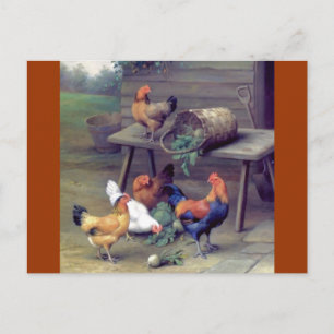 Rooster Turnip Basket Hens Postkarte