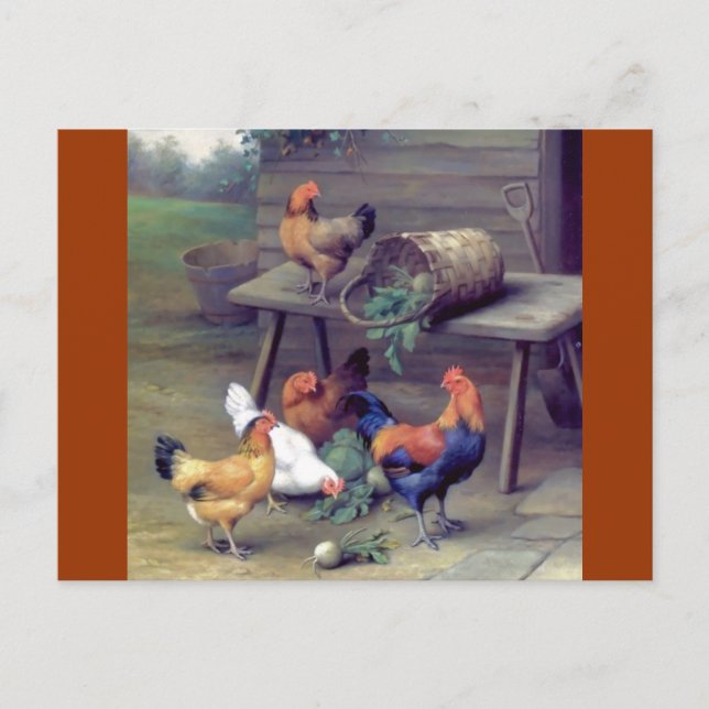Rooster Turnip Basket Hens Postkarte (Vorderseite)