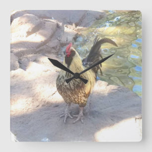 Rooster-Uhr Quadratische Wanduhr