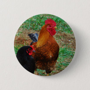 Rooster und Black Hen Button