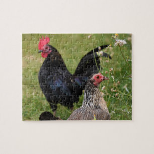 Rooster und Hen Puzzle