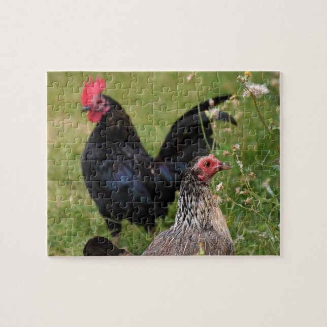 Rooster und Hen Puzzle (Horizontal)