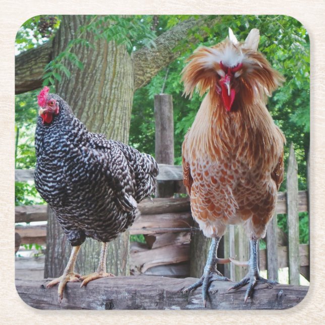Rooster und Hen Untersetzer (Vorderseite)