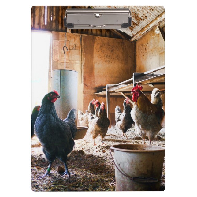 Rooster und Hühner in Barn Klemmbrett (Vorderseite)