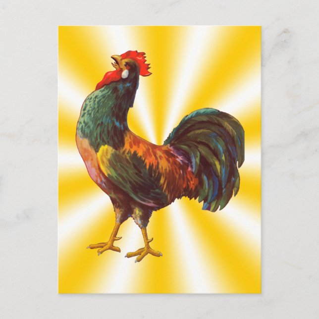 Rooster Vintage Postkarten für benutzerdefinierte  (Vorderseite)