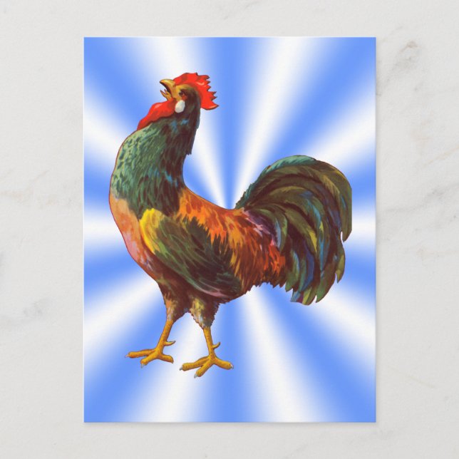 Rooster Vintage Postkarten für benutzerdefinierte  (Vorderseite)