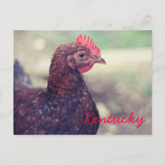 Rooster von JerseyFawn Postkarte