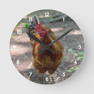Rooster Wall Clock Runde Wanduhr