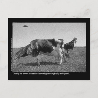 Roostercows Postkarte