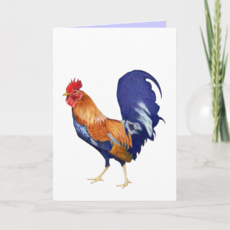 Roosterkarte Karte