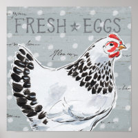 Roosters - Aufforderung II
