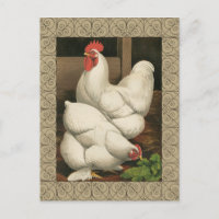 Roosters & Hen außerhalb von Hen House mit weißer 