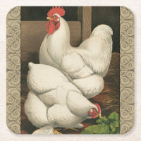 Roosters & Hen außerhalb von Hen House mit weißer
