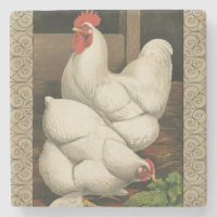Roosters & Hen außerhalb von Hen House mit weißer
