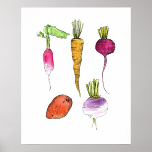 Root Vegetables Aquarell Küche Poster