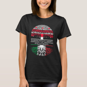 Roots Washington D C I T-Shirt