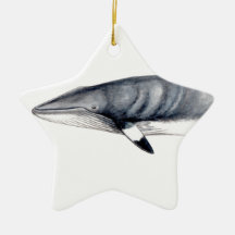 Rorcual aliblanco navideño Schmuck Minke whale