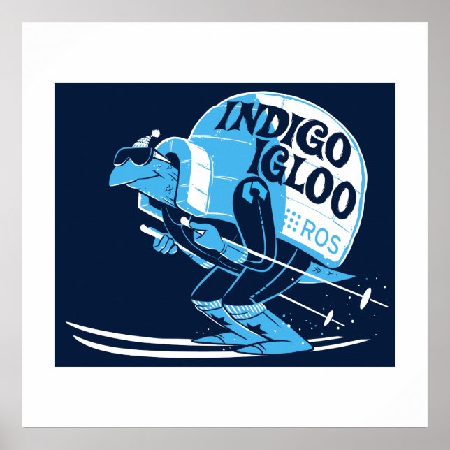 ROS Indigo Iglo Poster (Vorne)