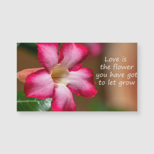 Rosa Adenium Obesum Blume alias Wüste Rose Magnetkarte