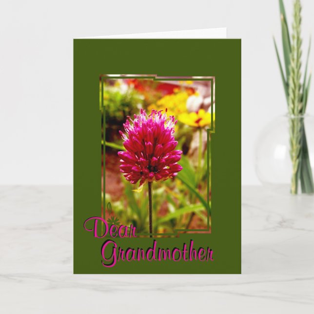 Rosa Allium Greeting Card 002 Karte (Vorderseite)